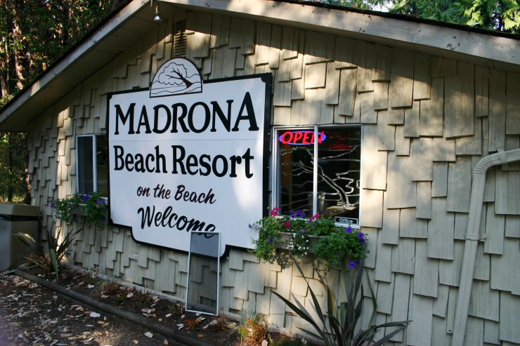 Chester WIndow Guards