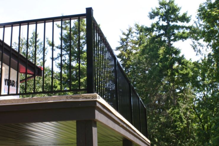 ChesterCotterRailing May 2015 2