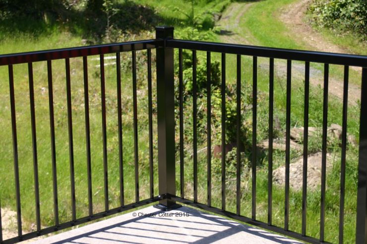 ChesterCotterRailing May 2015 4